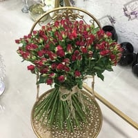 556 - صورة 1