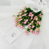 7522 - صورة 3