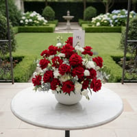 26479 - صورة 1