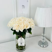 18298 - Image 1