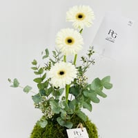13678 - Image 5