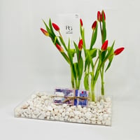 3385 - Image 2