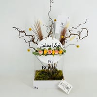 13951 - Image 3