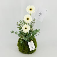 13678 - Image 2