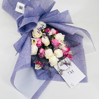 12448 - Image 4