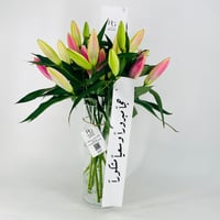 12665 - Image 2
