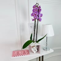 17195 - صورة 1