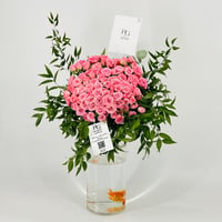 12863-792 - صورة 3