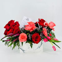 5003-52 - صورة 1