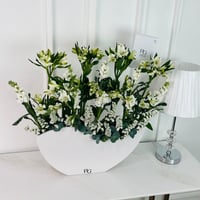 17085 - صورة 2