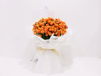 0076-626 - صورة 3