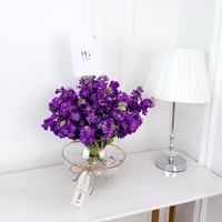 17820 - Image 2