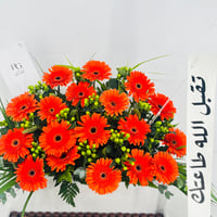 12772 - صورة 5
