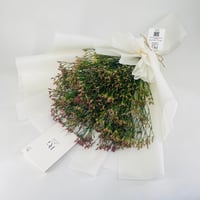 5049 - Image 2