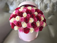3922 - صورة 1