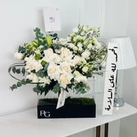 13280 - صورة 1