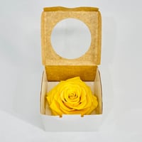 11283 - صورة 2
