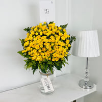 4665-16 - Image 1