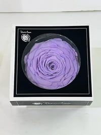 4772 - صورة 1