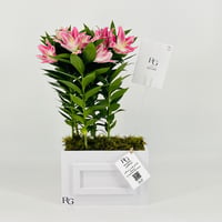 12829 - Image 1