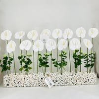 11802 - Image 1