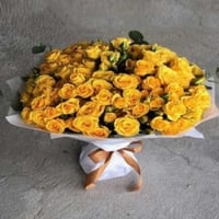 0004 - صورة 1