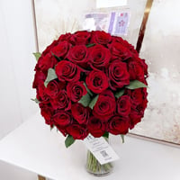 15932 - Image 2