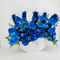 9293N - صورة 2