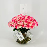 13279 - Image 3