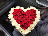 3903 - صورة 1