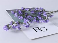 4296 - صورة 1