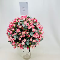 599-533 - صورة 2