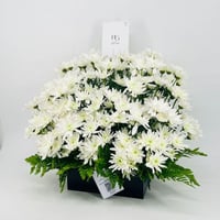 7920 - صورة 3