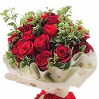 483 - صورة 1