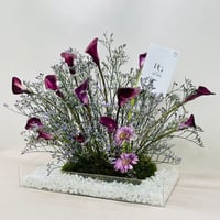 7672 - صورة 3