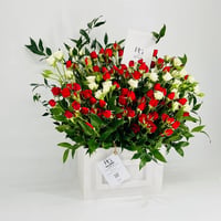 8627-197 - صورة 2
