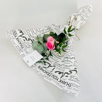 13977 - صورة 1