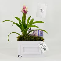 12848 - Image 1