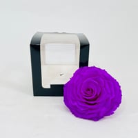 11253-183 - Image 1