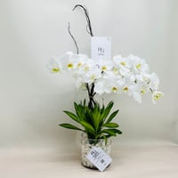 7818-103 - Image 2