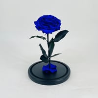 11274 - Image 3