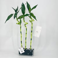3304-156 - Image 3