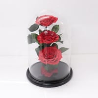 2403-131 - صورة 1