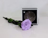 4788-107 - صورة 1