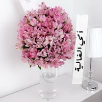 17384 - صورة 1