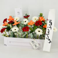 13533 - صورة 4