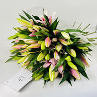 13568-814 - صورة 2