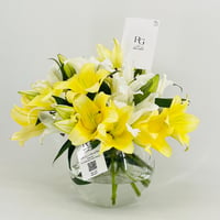 12816 - Image 3