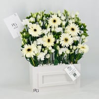 12598-753 - Image 2