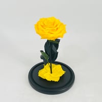 11235 - صورة 3
